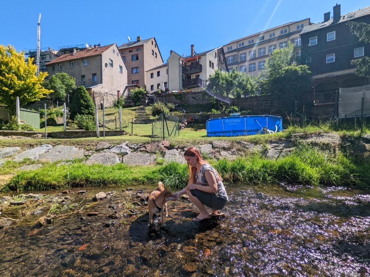 Famzi - Urlaubsmagie - Familienwohnung Mit Gemeinschaftsgarten, -Sauna & -Pool Sebnitz Bagian luar foto