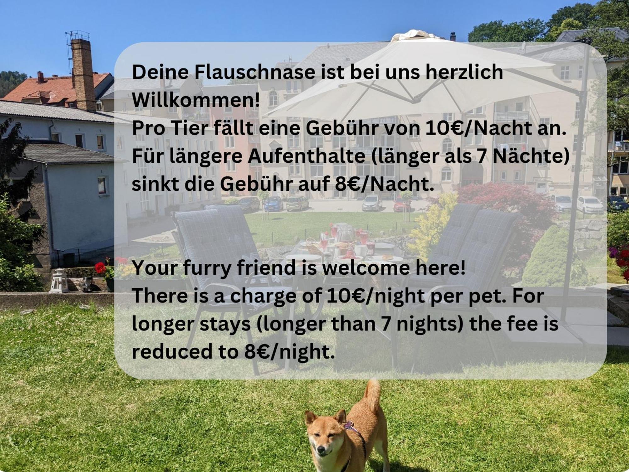 Famzi - Urlaubsmagie - Familienwohnung Mit Gemeinschaftsgarten, -Sauna & -Pool Sebnitz Bagian luar foto
