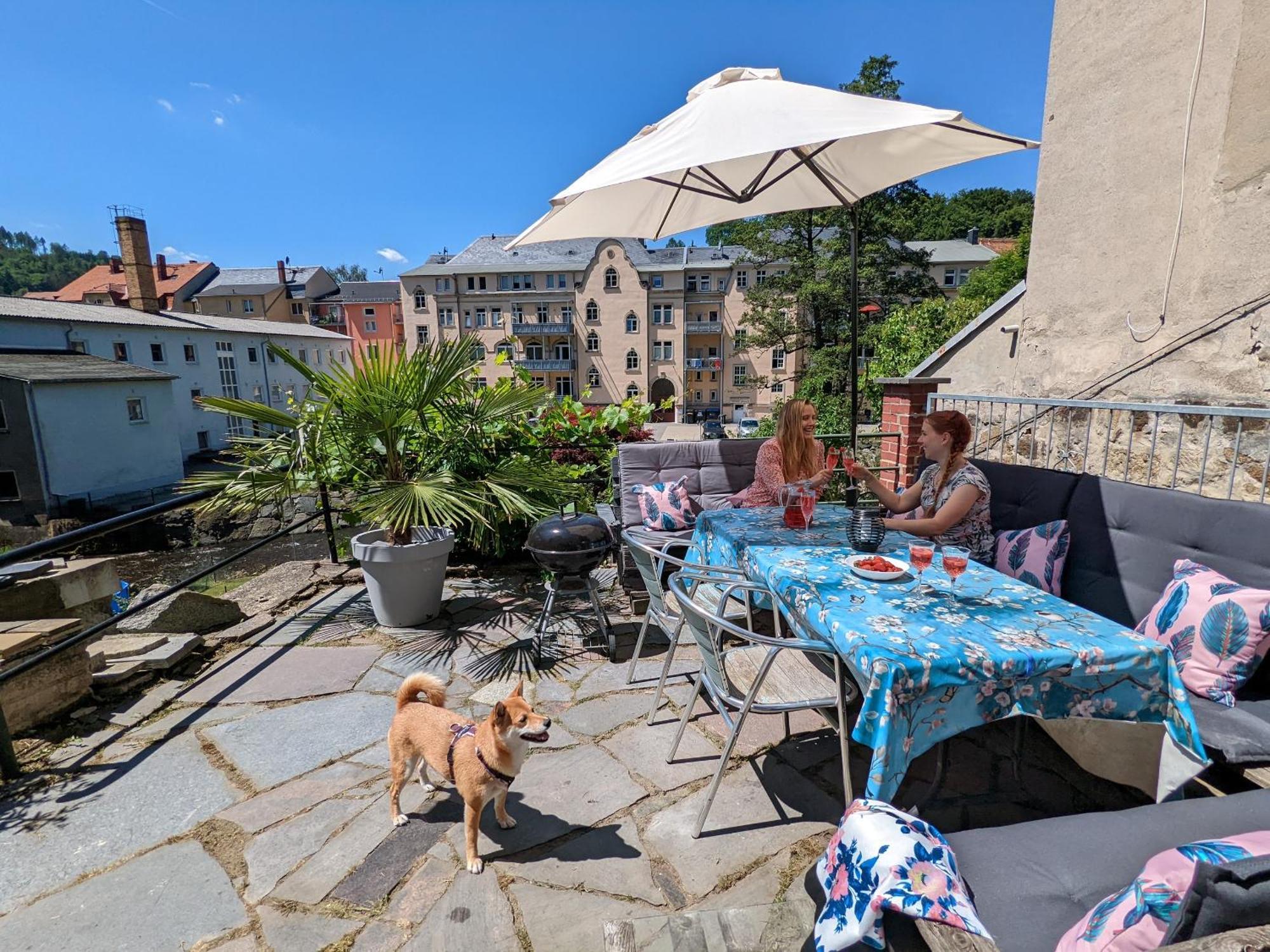 Famzi - Urlaubsmagie - Familienwohnung Mit Gemeinschaftsgarten, -Sauna & -Pool Sebnitz Bagian luar foto