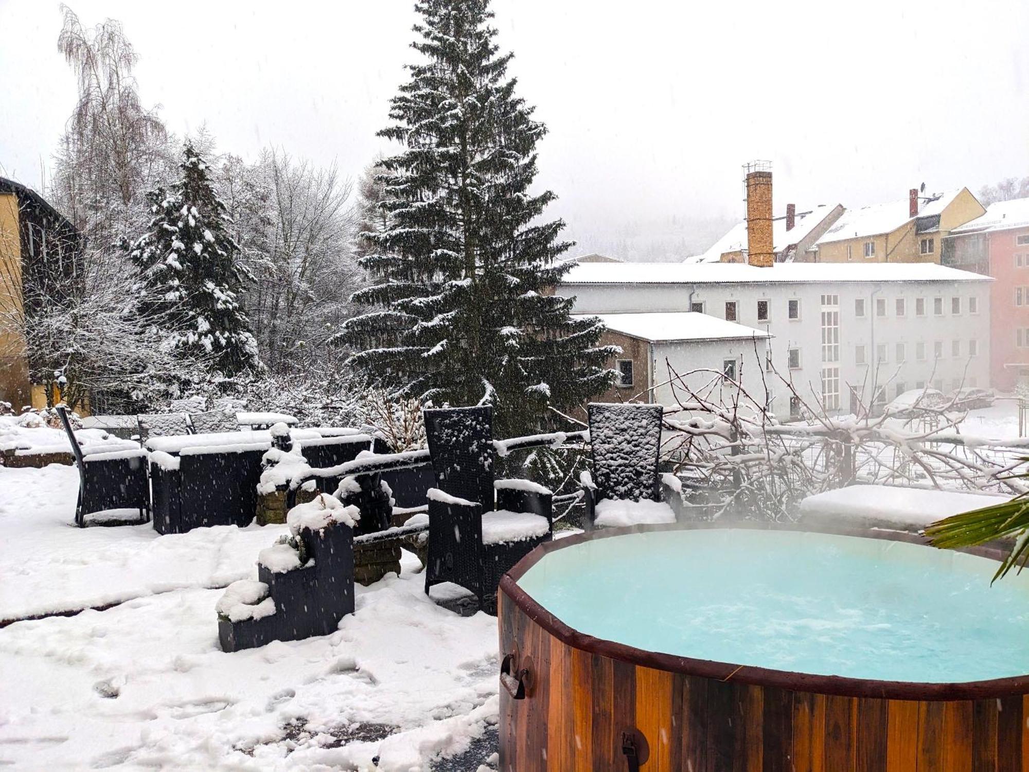 Famzi - Urlaubsmagie - Familienwohnung Mit Gemeinschaftsgarten, -Sauna & -Pool Sebnitz Bagian luar foto