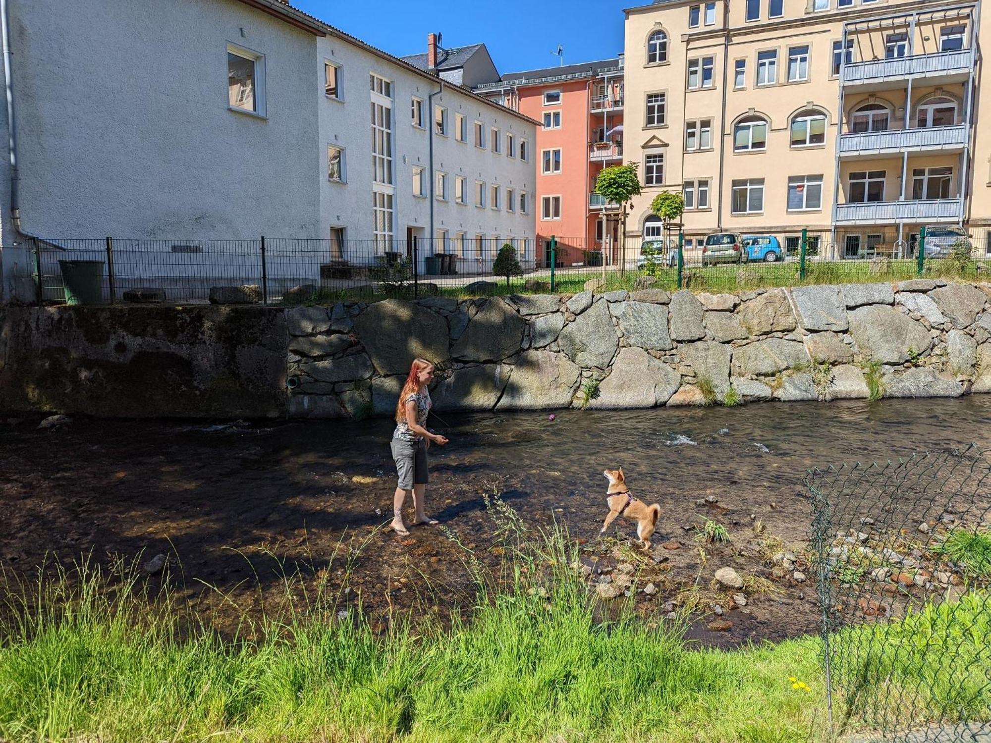Famzi - Urlaubsmagie - Familienwohnung Mit Gemeinschaftsgarten, -Sauna & -Pool Sebnitz Bagian luar foto